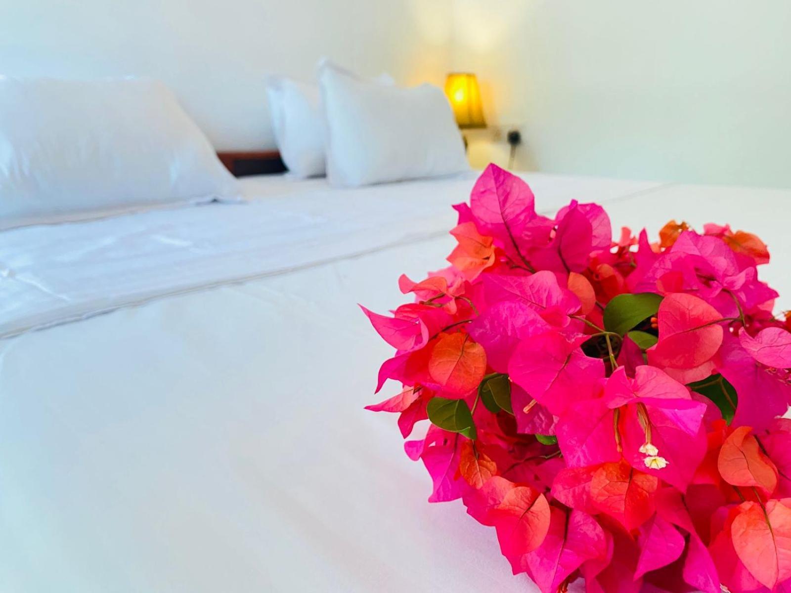 Hotel Aaliya Bay Arugam Bay Esterno foto
